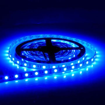 İç Mekan Şerit Led Cata 12V Mavi 5 Metre Paket CT4484